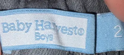 Joggers  niño Baby Harvest Boys gris - miniatura 2