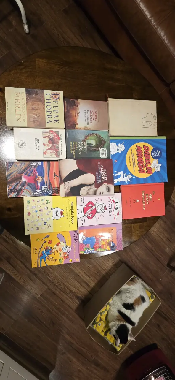 Lote de libros variados de autores reconocidos - 1