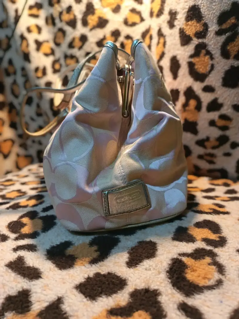 Bolso de mano Coach rosa - 6