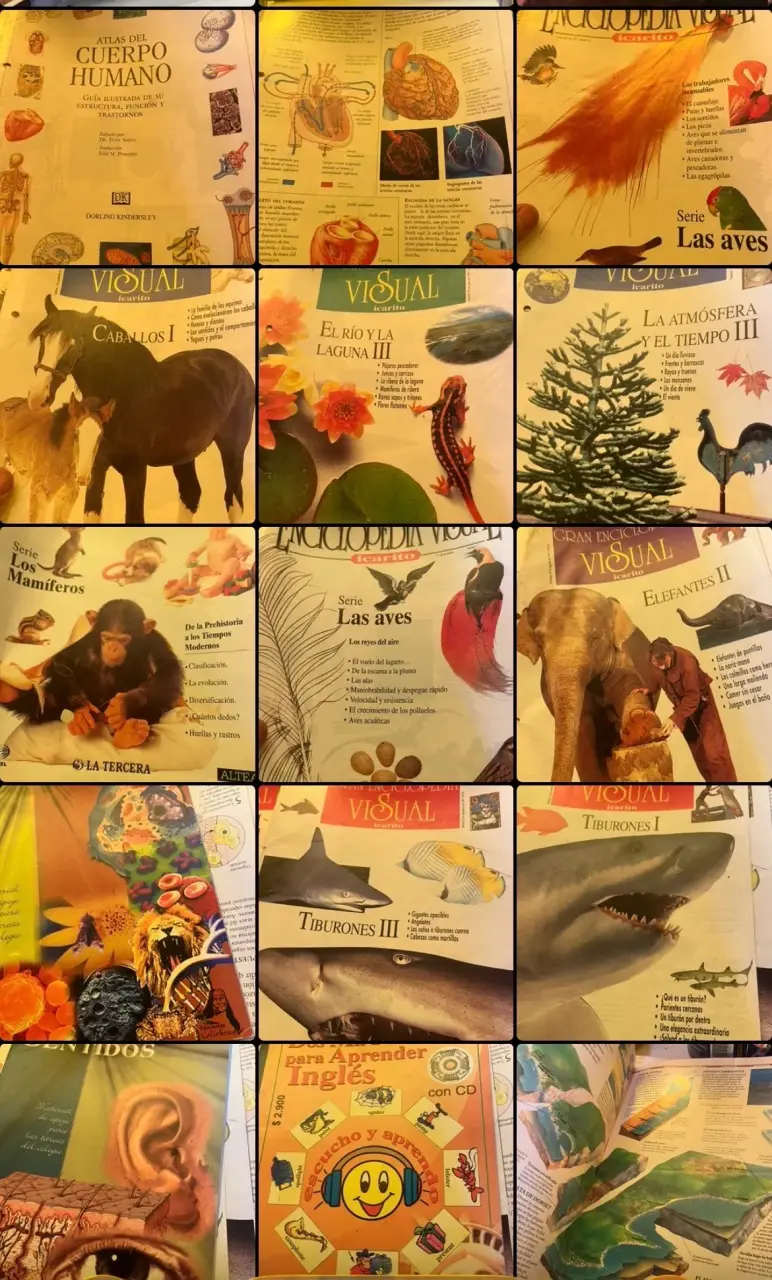 Colección de Enciclopedias Visuales y Educativas - 4