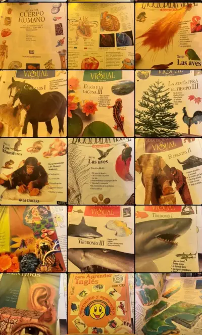 Colección de Enciclopedias Visuales y Educativas - miniatura 4