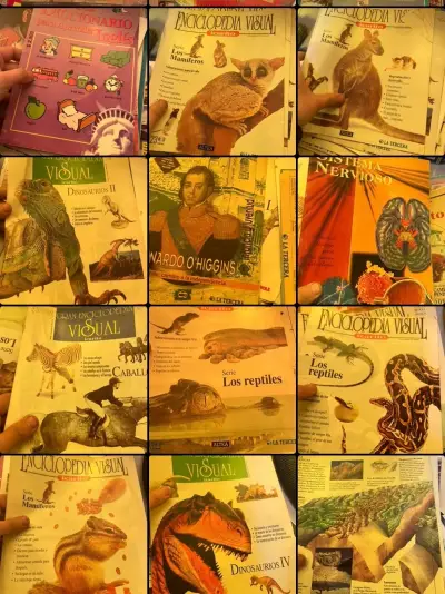 Colección de Enciclopedias Visuales y Educativas - miniatura 5
