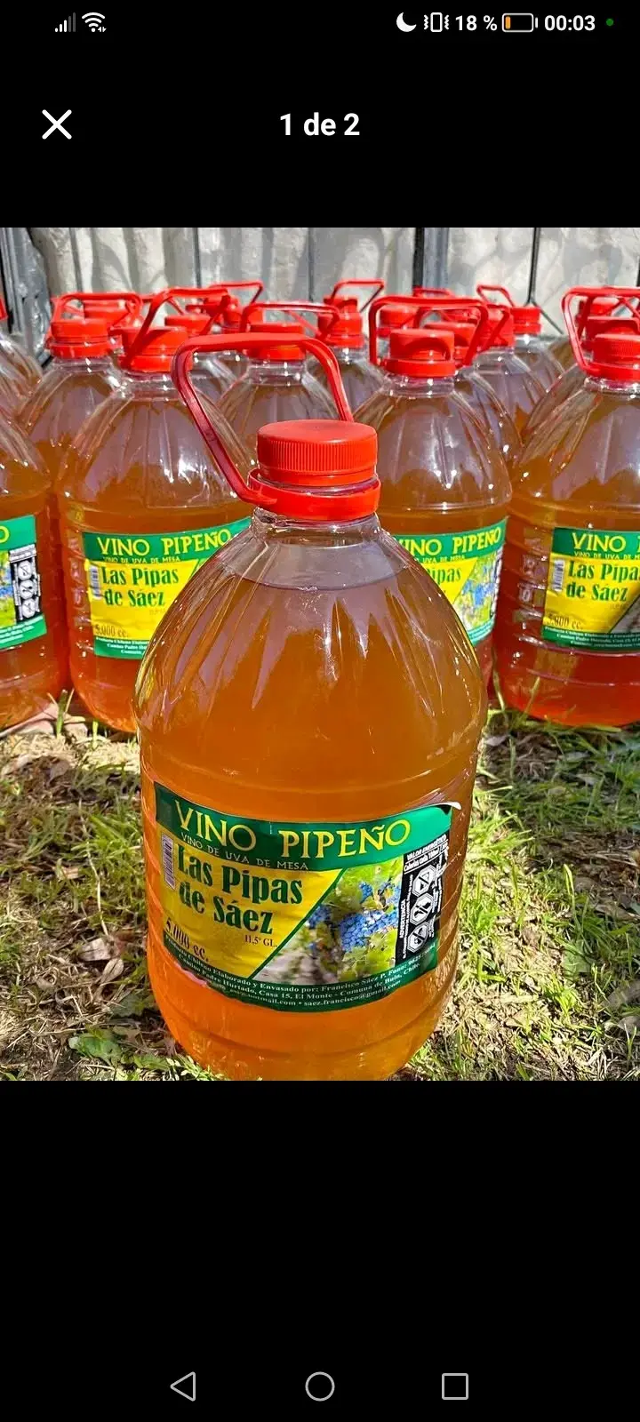 Vino Pipeño para terremoto - 1