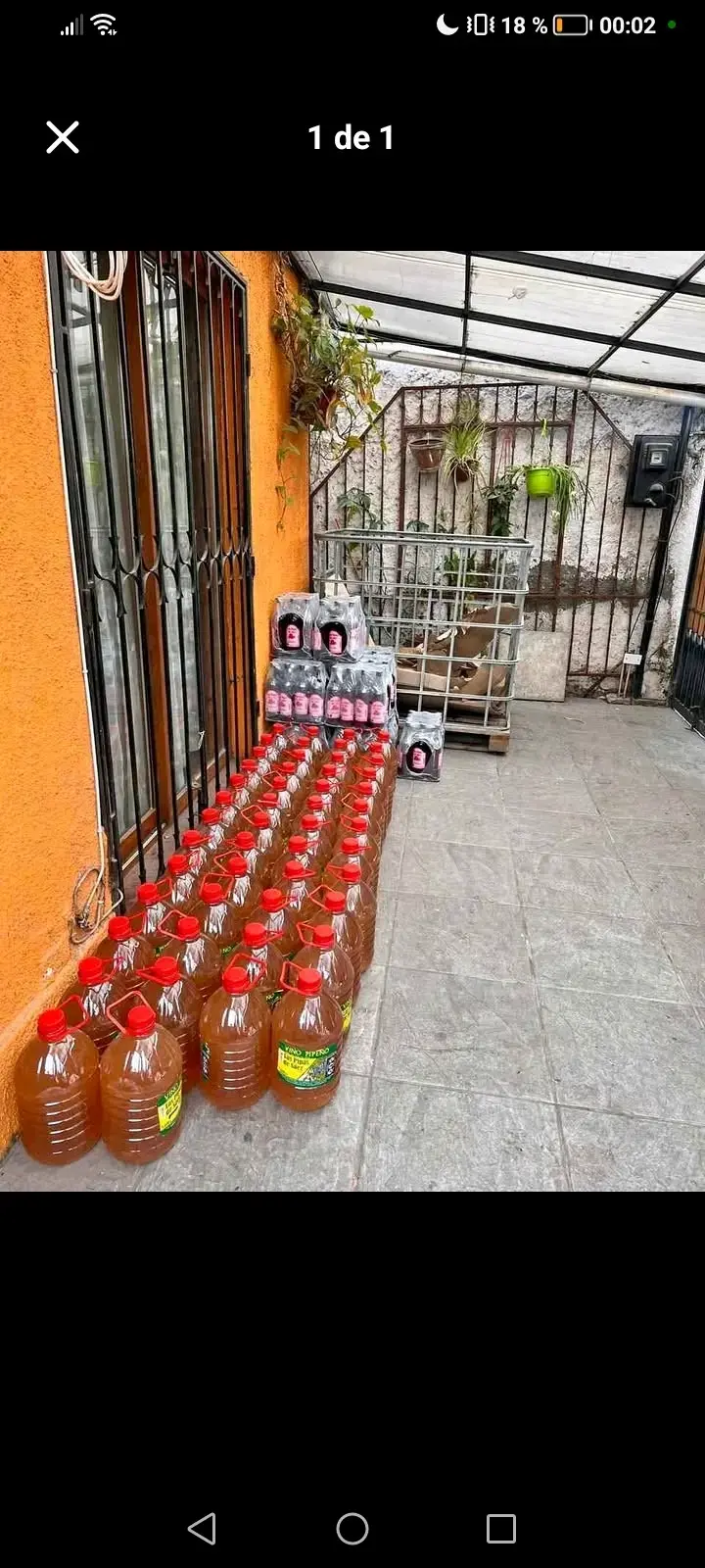 Vino Pipeño para terremoto - 2