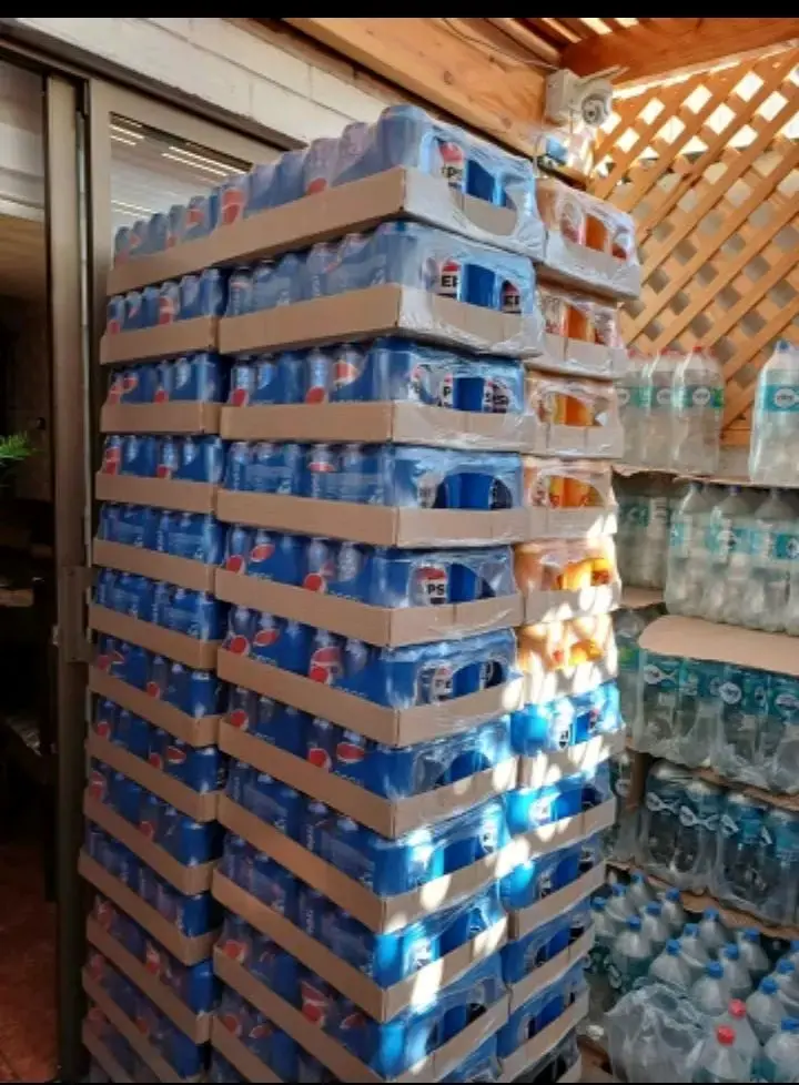 Bebidas en lata 350ml variedad sabores - 4