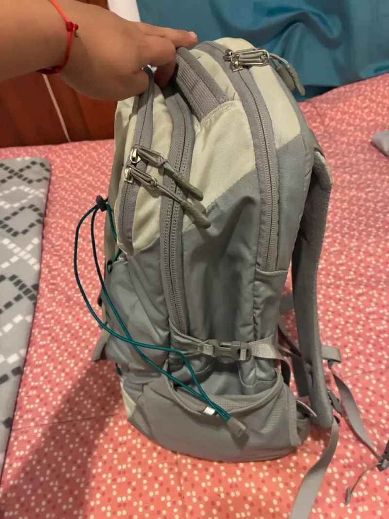 Mochila The North Face Borealis gris - 2