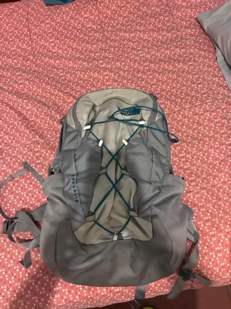 Mochila The North Face Borealis gris - 4