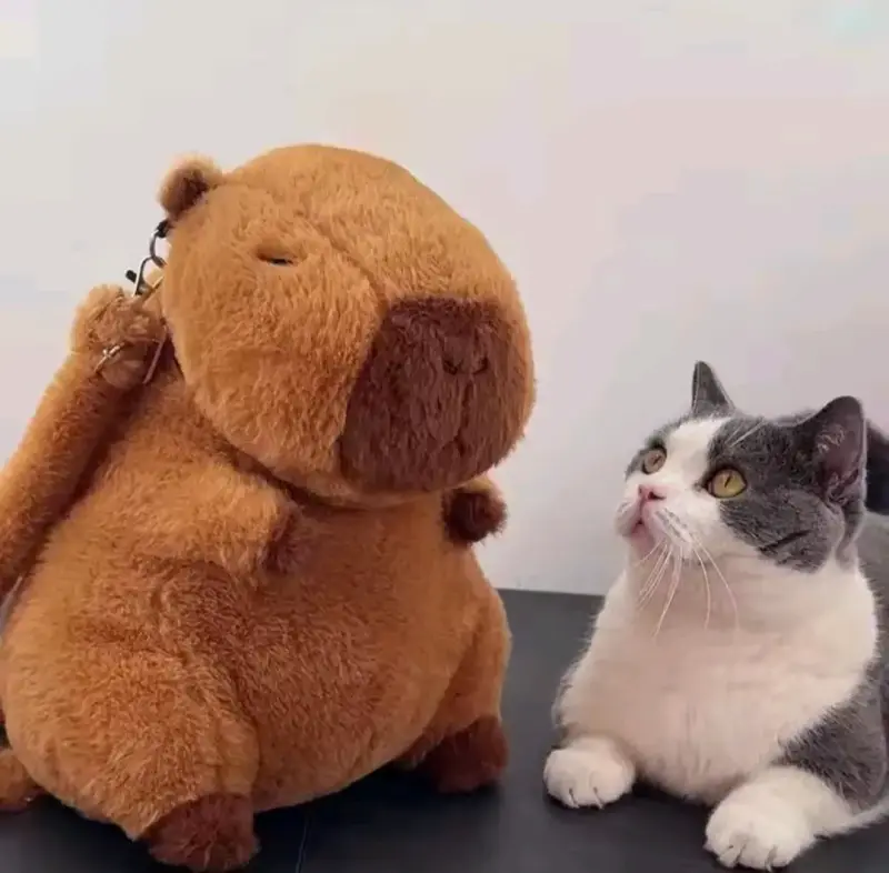 Mochila de peluche capibara con flor - 5