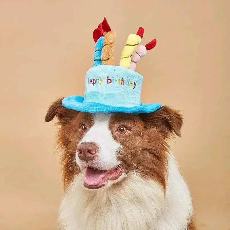 Sombrero de cumpleaños para mascotas con velas - 1
