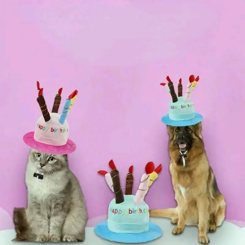 Sombrero de cumpleaños para mascotas con velas - 2