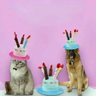 Sombrero de cumpleaños para mascotas con velas - miniatura 2