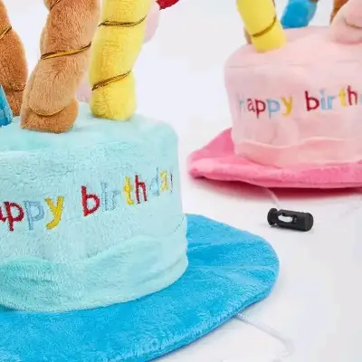 Sombrero de cumpleaños para mascotas con velas - miniatura 3