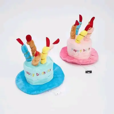 Sombrero de cumpleaños para mascotas con velas - miniatura 4