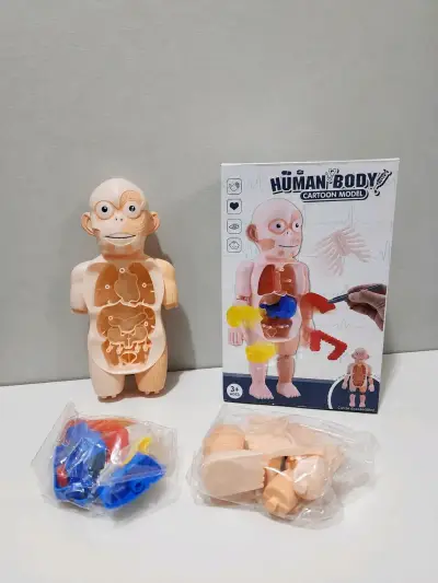 Juguete cuerpo humano para niños - miniatura 1