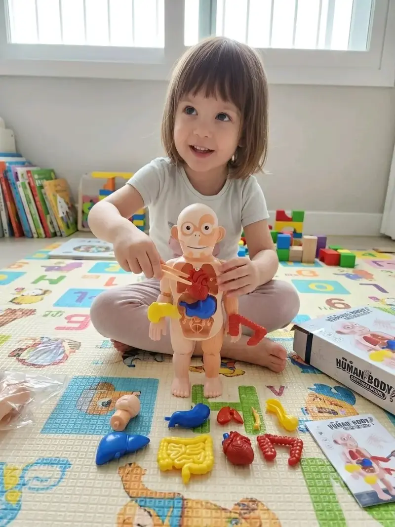 Juguete cuerpo humano para niños - 2