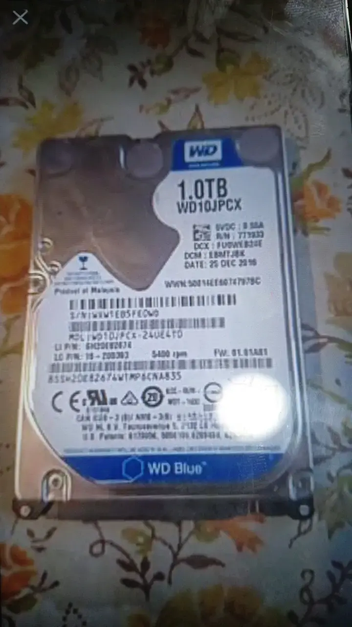 Disco Duro Interno 1TB WD Blue