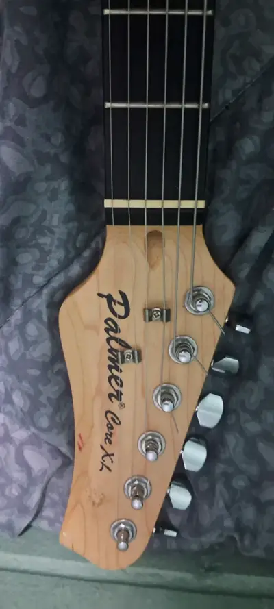 Guitarra electrica Palmer - miniatura 2