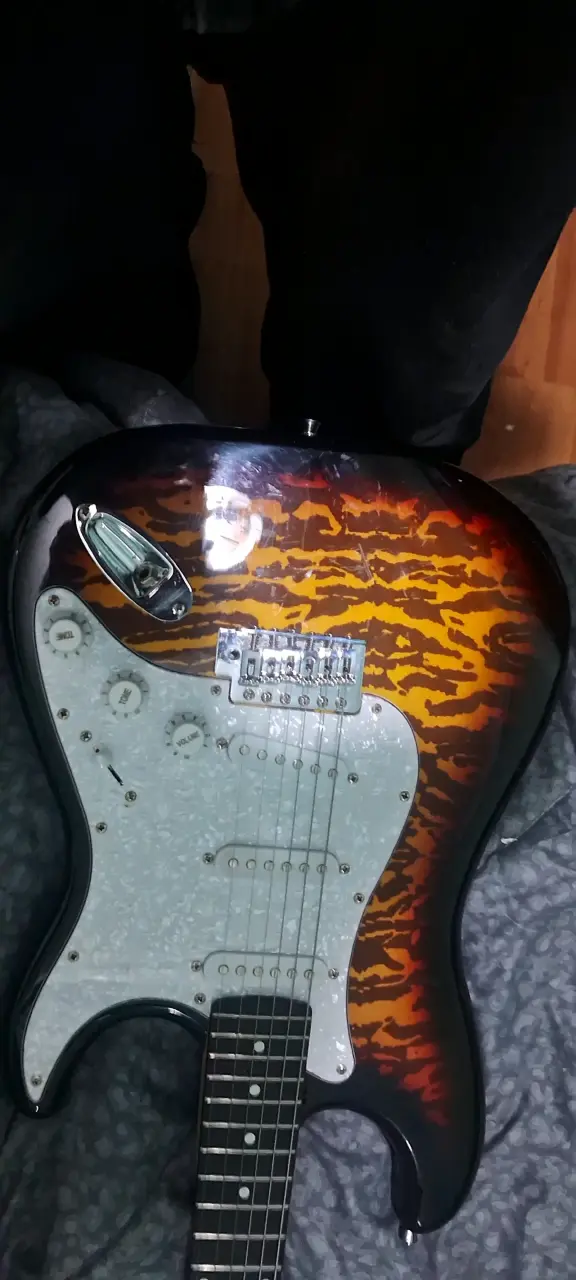 Guitarra electrica Palmer - 3