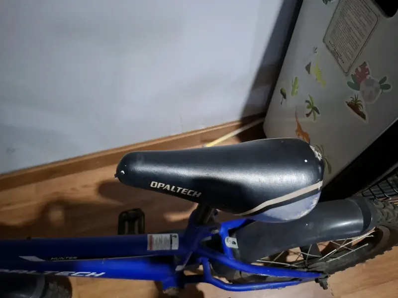 Bicicleta infantil Opaltech azul con frenos - 4
