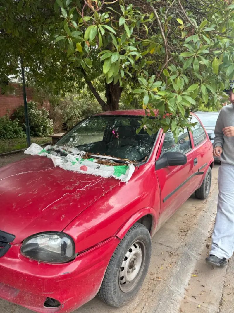 Auto compacto corsa swing - 2