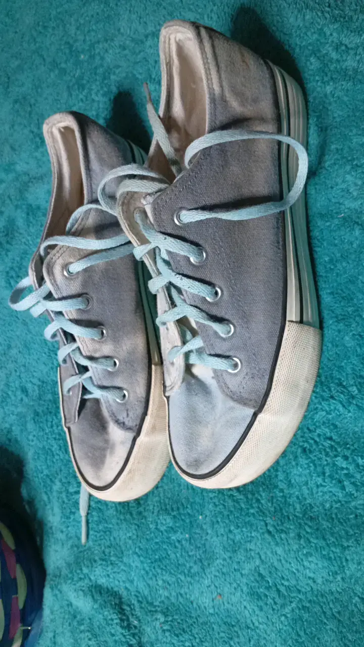 Zapatillas de lona grises con cordones