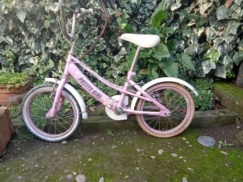 Bicicleta, comedor, mesa de centro - 1