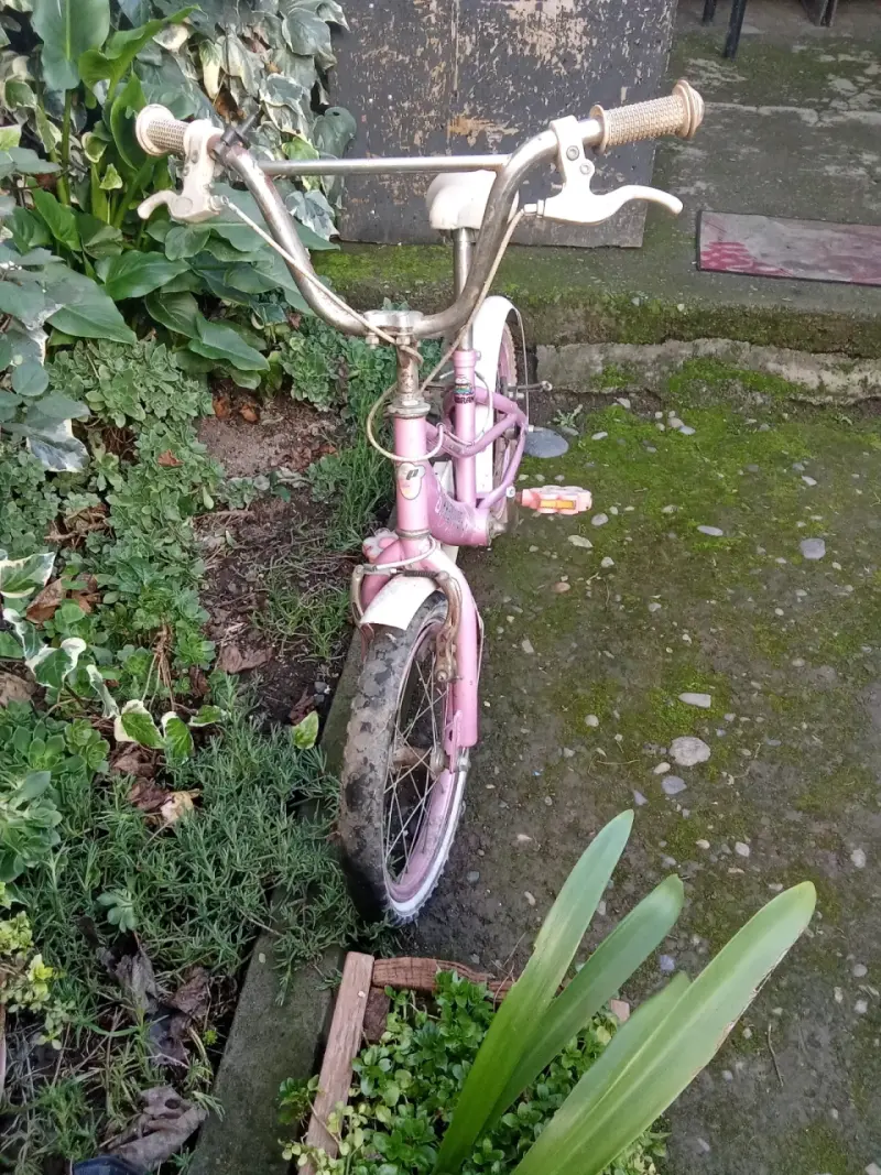 Bicicleta, comedor, mesa de centro - 2