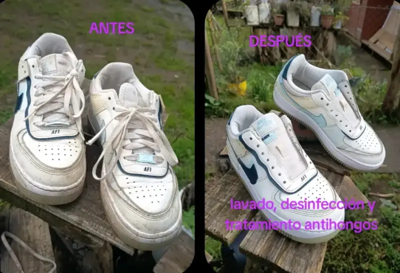 Te Lavo Las Tillas - 4