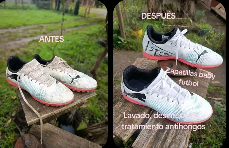 Te Lavo Las Tillas - 5