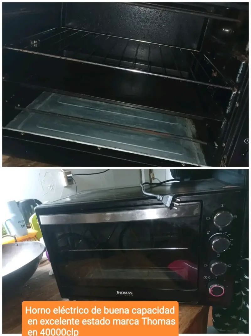 Horno eléctrico Thomas de buena capacidad