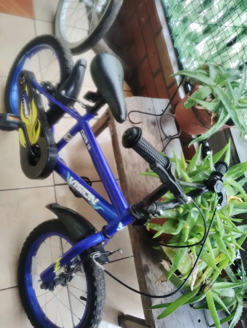 Bicicleta infantil azul Vision con ruedas de entrenamiento - 1