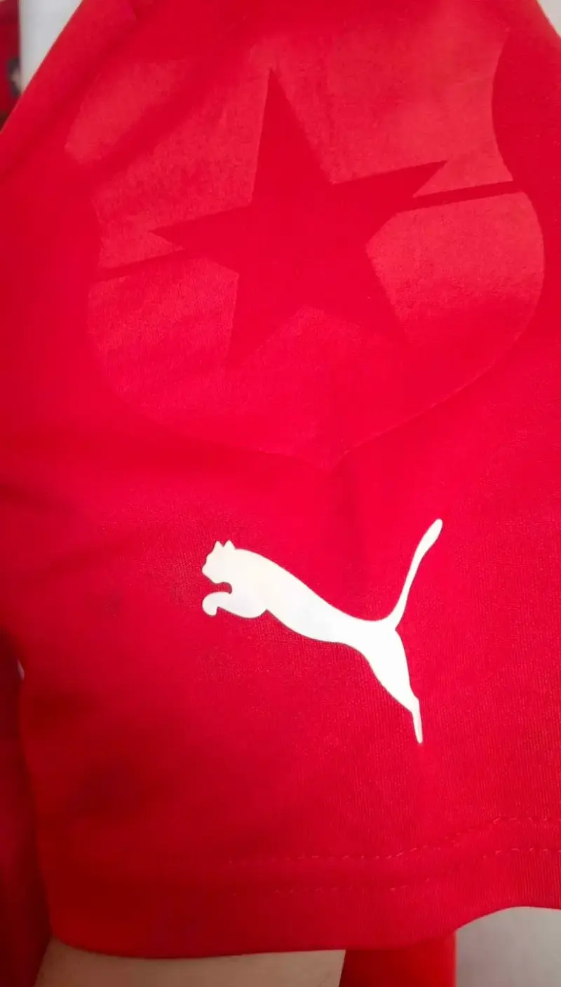 Camiseta Roja Selección Chile Puma - 3