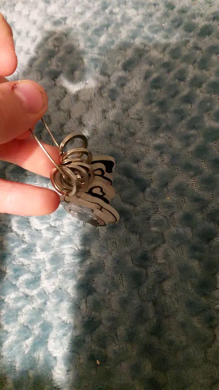Llaveros con diseño de perros y accesorios. - 1