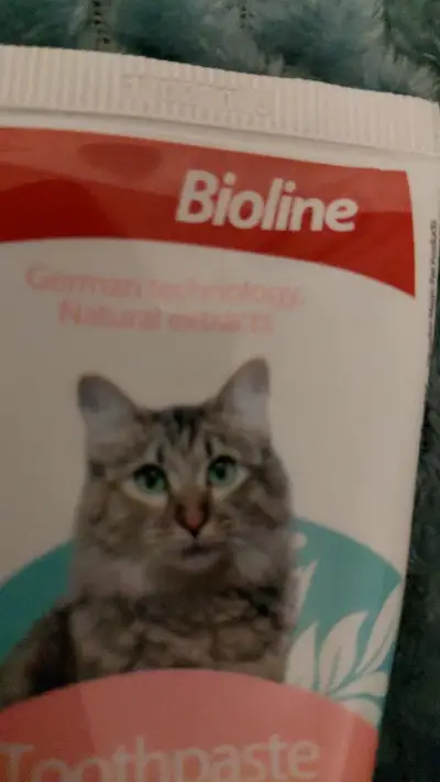 Pasta De Dientes Para Gatos Marca Bioline - miniatura 4