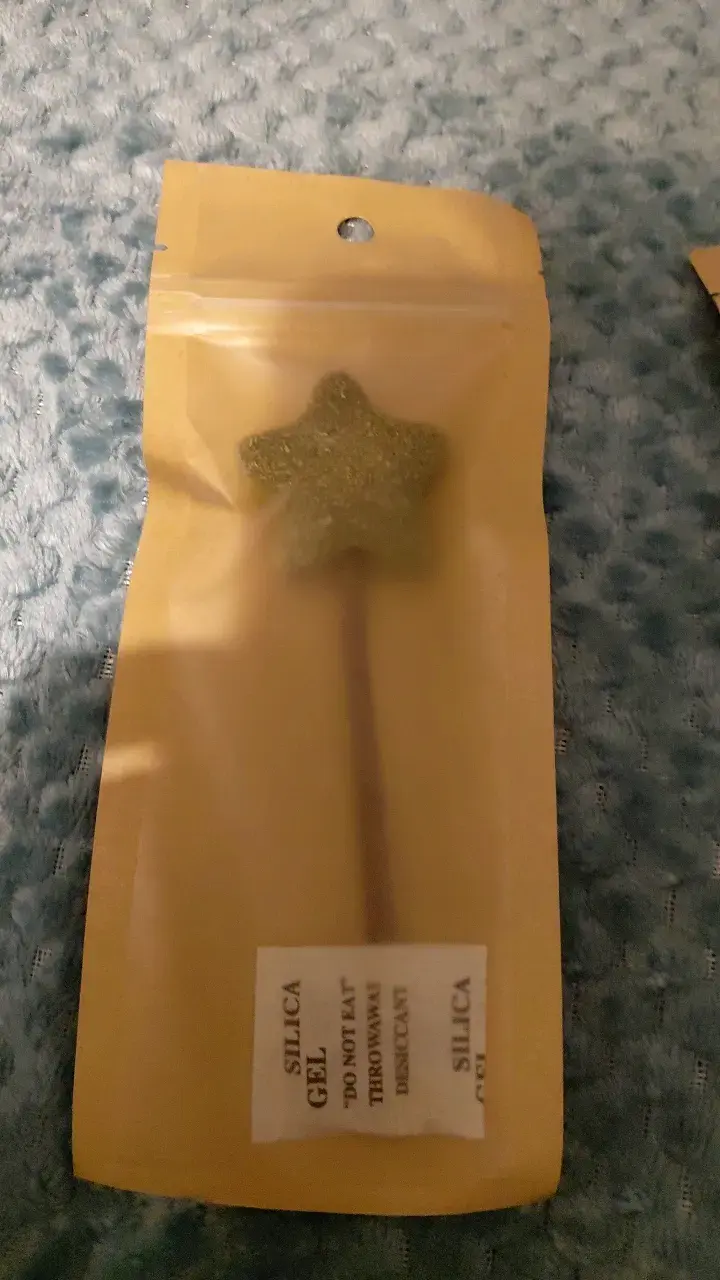 Catnip - 1