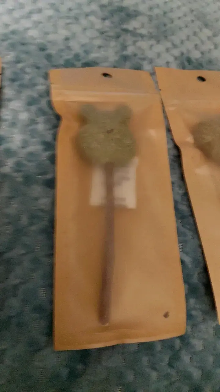 Catnip - 2