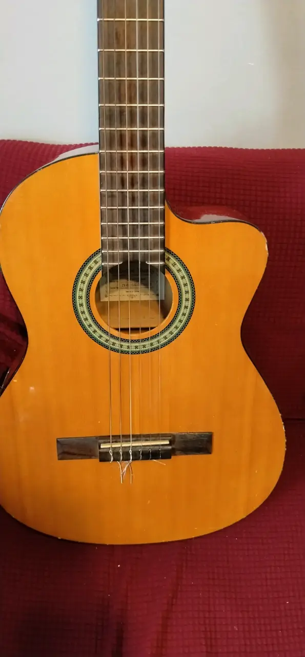 Guitarra electroacústica Ibanez AEQ-200T - 5