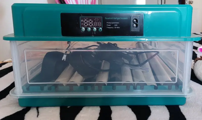 Incubadora inteligente para huevos 50W