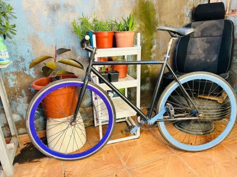 Bicicleta fixie lauden - 1