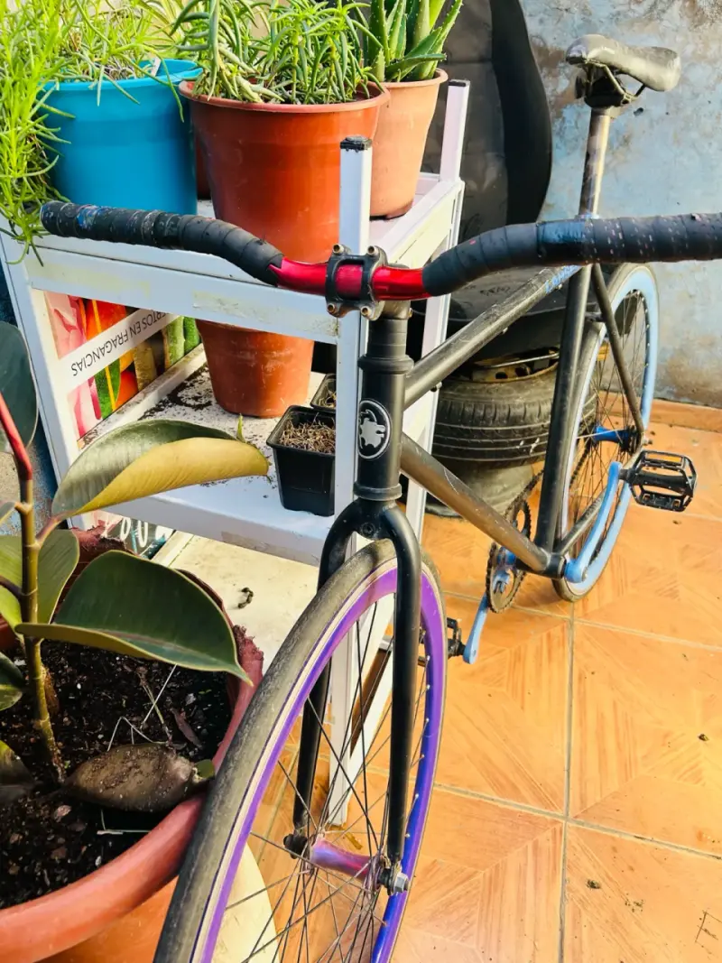 Bicicleta fixie lauden - 2