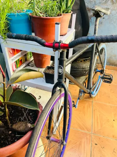Bicicleta fixie lauden - miniatura 2