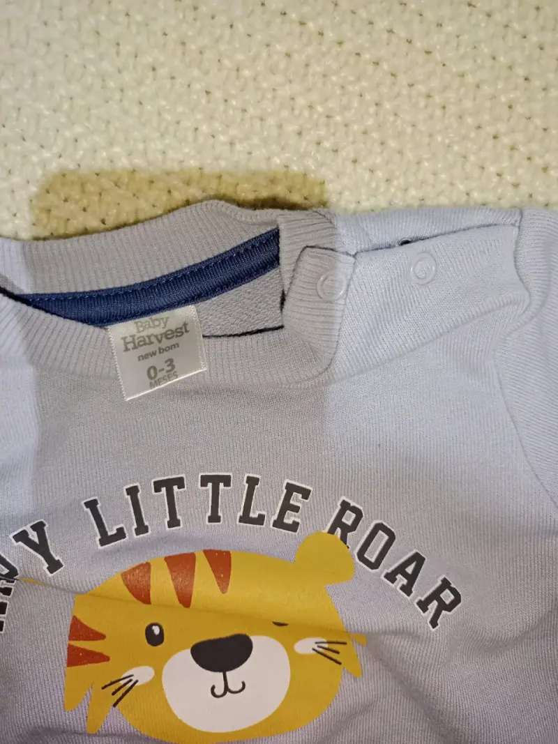 Polerón infantil celeste con diseño de león - 2