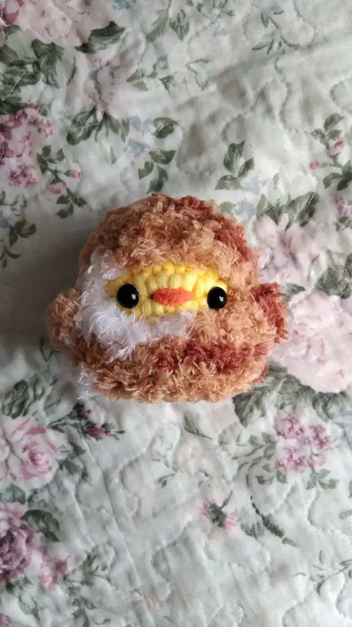 Pollito con disfraz