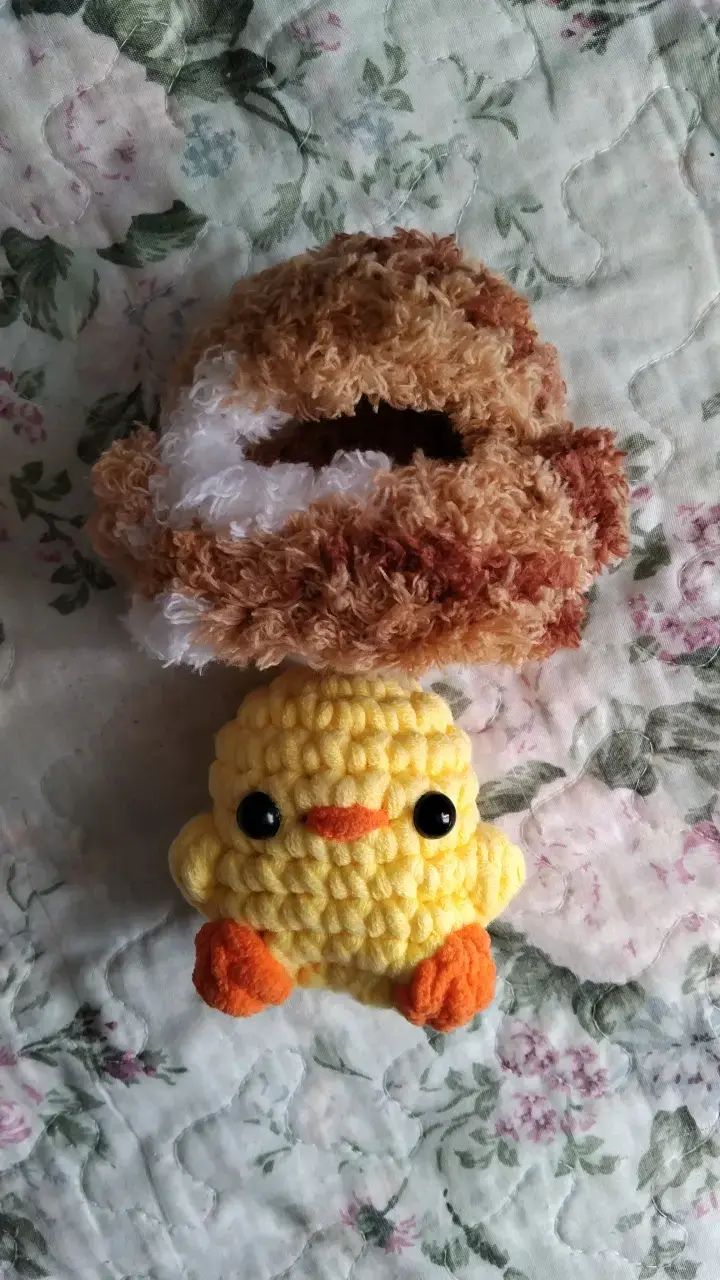 Pollito con disfraz - 2