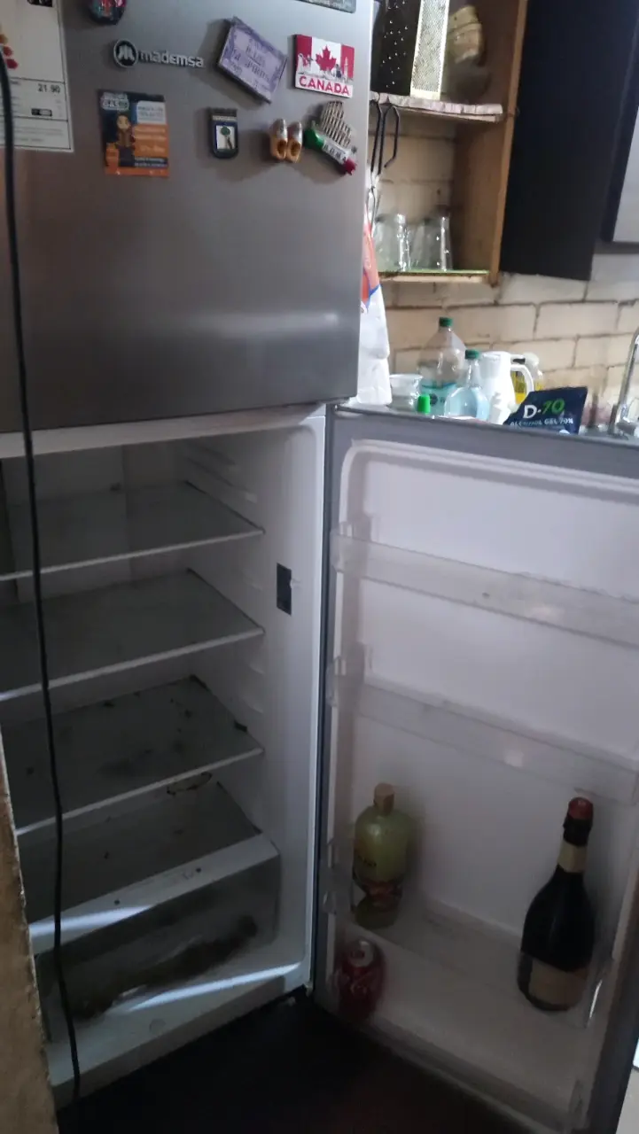 Refrigerador Madems No Frost 251 Litros ALTUS 1250 - 2
