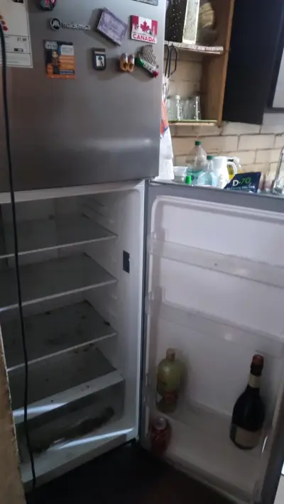 Refrigerador Madems No Frost 251 Litros ALTUS 1250 - miniatura 2