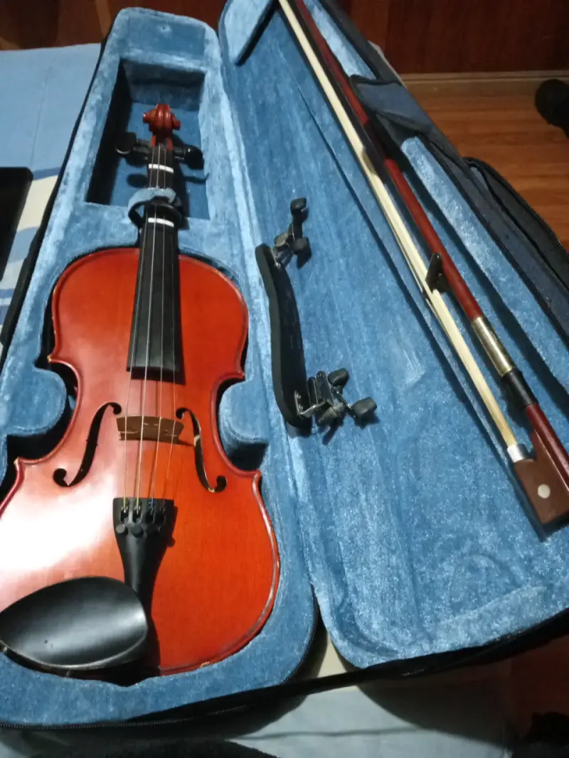Violín acústico con estuche y arco - 1