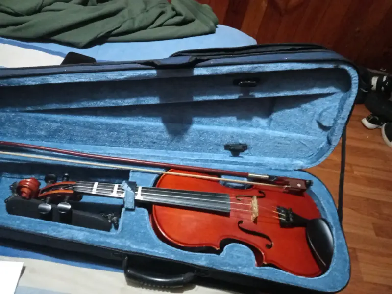 Violín acústico con estuche y arco - 2