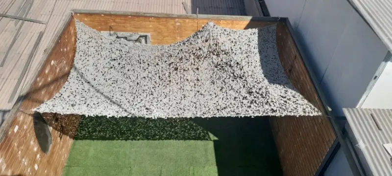 Malla de camuflaje Camonet 3x5 mt - 5