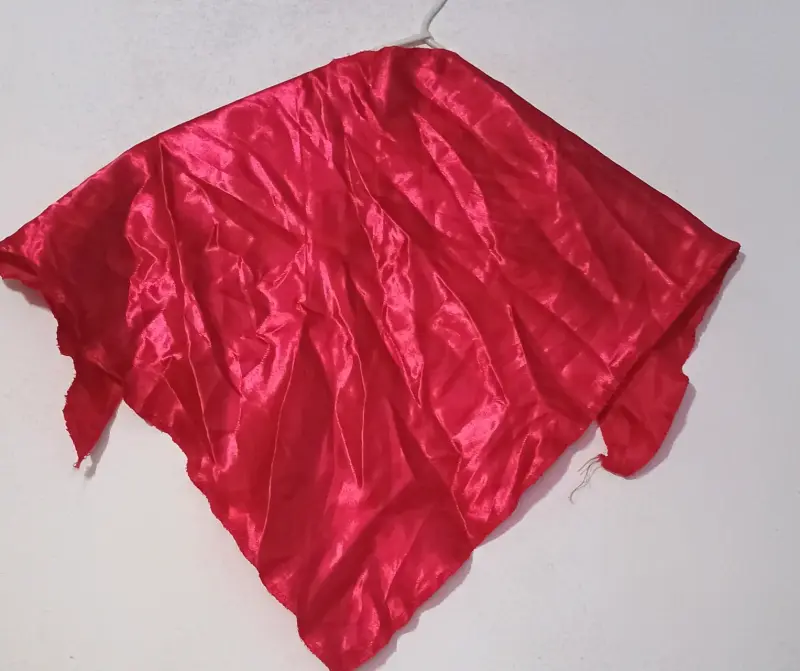 Traje típico chileno Chamamé mujer - 4